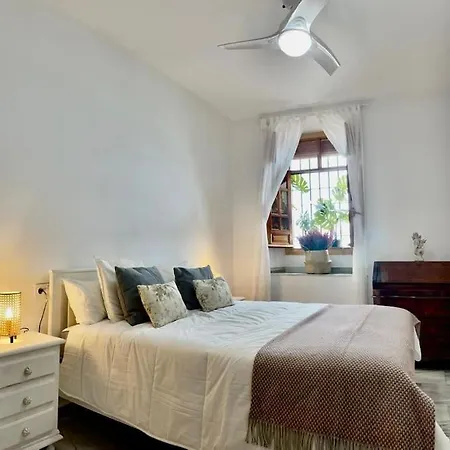 Apartamento Con Patio En El Casco Historico